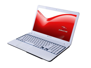 Packard Bell EASYNOTE_F6243-HC-461HG 15.6 LED, Intel® Dual Core™ B960 2.2GHz, 4GB, 500GB, DVD-RW SM, Intel® UMA, Card reader Linux, 6cell, Piros-fehér (S)