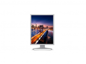 NEC Display MultiSync P212 - 21.3 Colos LED LCD Monitor 