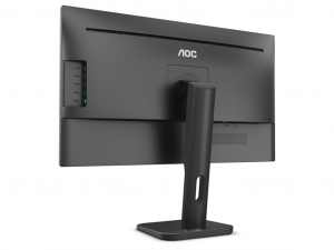 AOC X24P1 24 Col monitor