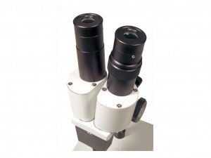 Levenhuk 2ST mikroszkóp