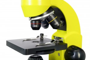 Levenhuk Rainbow 50L Sárga mikroszkóp - Angol könyvvel