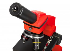 Levenhuk Rainbow 2L PLUS Piros mikroszkóp - Angol könyvvel