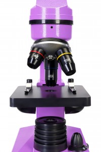 Levenhuk Rainbow 2L Lila mikroszkóp - Német könyvvel