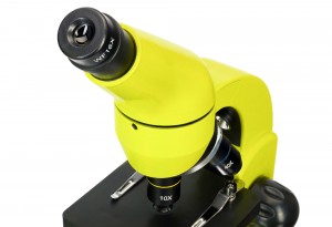 Levenhuk Rainbow 50L PLUS Sárga mikroszkóp - Angol könyvvel