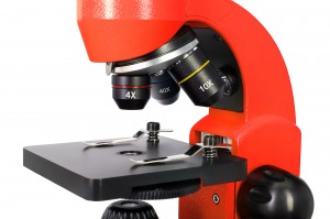 Levenhuk Rainbow 50L PLUS Piros mikroszkóp, Angol könyvvel