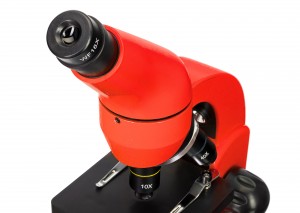 Levenhuk Rainbow 50L PLUS Piros mikroszkóp, Angol könyvvel