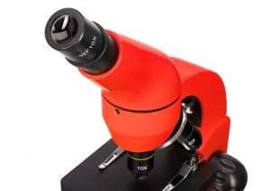 Levenhuk Rainbow 50L Piros mikroszkóp, Angol könyvvel