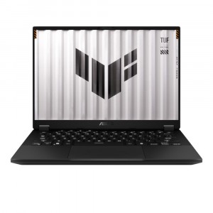 Asus TUF Gaming FA401UU-RG005 FA401UU-RG005 laptop