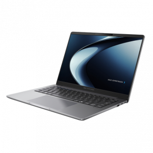 Asus ExpertBook P3 PM3406CKA-LY0116 ASNBPM3406CKALY0116 laptop