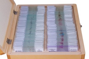 Bresser előkészített tárgylemez készlet 100 darabos, tokkal (73765)
