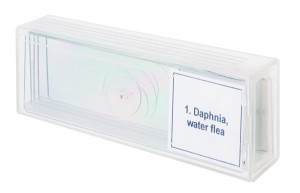Discovery Prof DPS 5 mikropreparátum mintakészlet. „Élet egy csepp vízben”