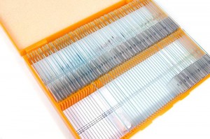 Levenhuk N80 NG „Láss mindent!” tárgylemezkészlet, Magyar könyvvel
