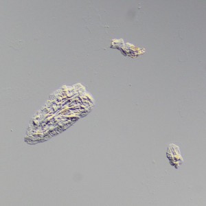 MAGUS DIC290 tartozékkészlet