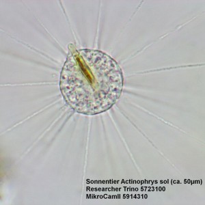 Bresser Researcher Trino 40–1000x mikroszkóp (62567)