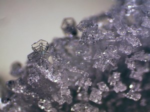Bresser Erudit ICD sztereomikroszkóp (74313)