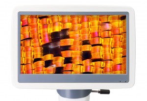 Levenhuk D85L LCD digitális mikroszkóp