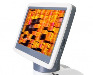 Levenhuk D85L LCD digitális mikroszkóp