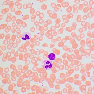 MAGUS Bio 270T biológiai mikroszkóp