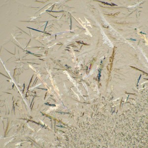 MAGUS Bio 230B biológiai mikroszkóp