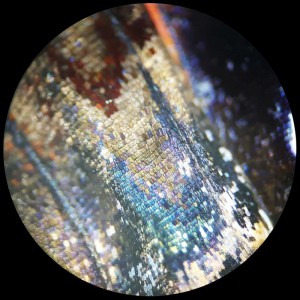 Bresser Analyth STR 10x - 40x sztereomikroszkóp